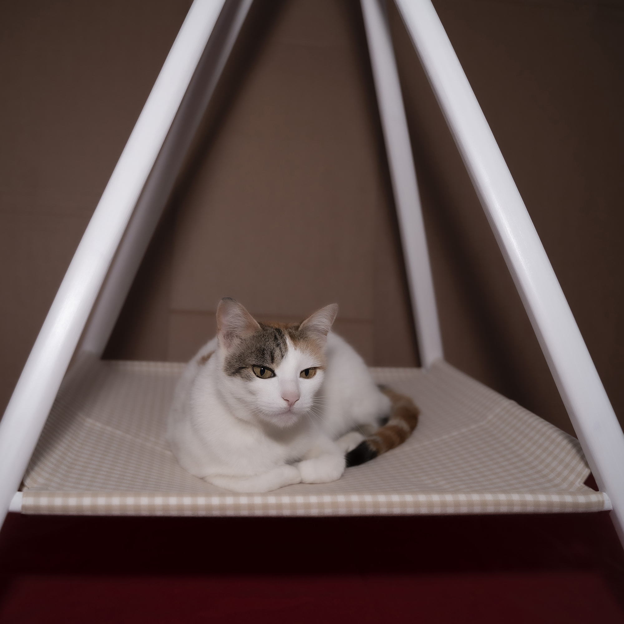 Pet Teepee Tent for cats and small dogs H95 cm Tall APACHE - beige - Image 6